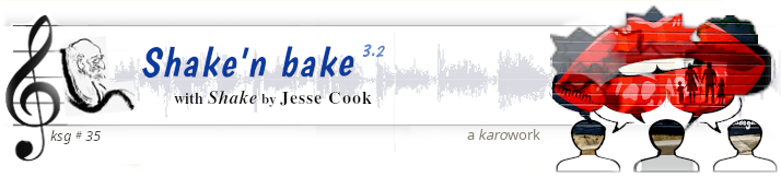 Shake'n bake song page banner