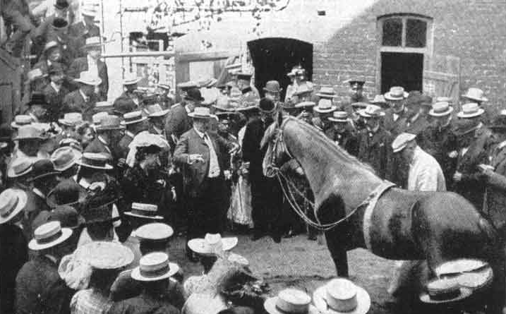 Clever Hans the horse performs math in front of an early 20th century German audience.