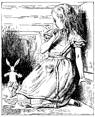 Alice watches the rabbit walking away